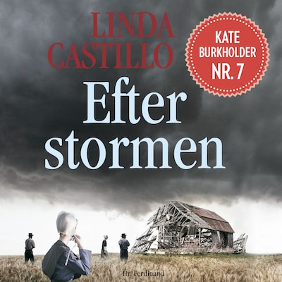 Efter stormen – omslag til lydbogen af Linda Castillo