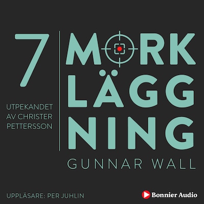 Utpekandet av Christer Pettersson : Mörkläggning - Statsmakten och Palmemordet
