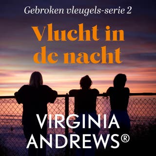 Vlucht in de nacht