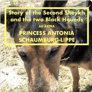 Story of the Second Sheykh and the two Black Hounds: Ad Astra Grand Classics – omslag till ljudboken av Edward William Lane