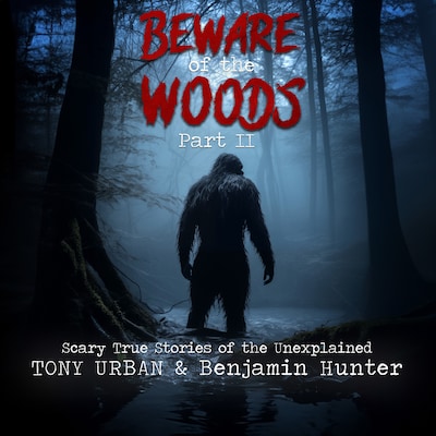Beware of the Woods  Part II
