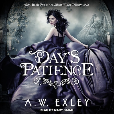 Day's Patience – omslag til lydbogen af A.W. Exley