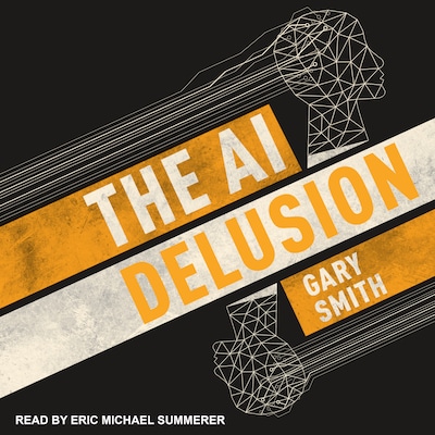 The AI Delusion – omslag til lydbogen af Gary Smith