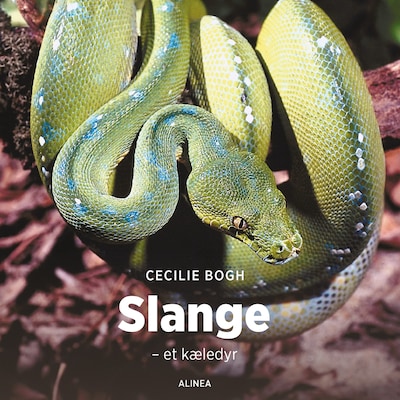 Slange - et kæledyr – omslag til lydbogen af Cecilie Bogh