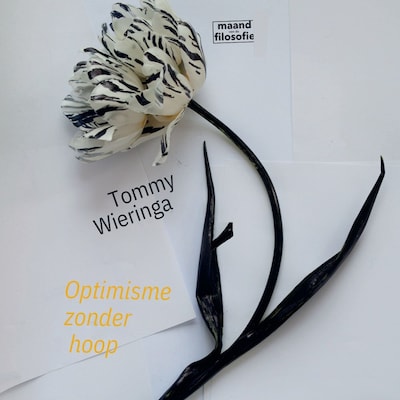 Optimisme zonder hoop