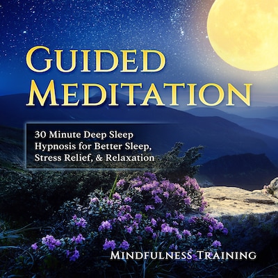 Guided Meditation: 30 Minute Deep Sleep Hypnosis for Better Sleep, Stress Relief, & Relaxation (Self Hypnosis, Affirmations, Guided Imagery & Relaxation Techniques)