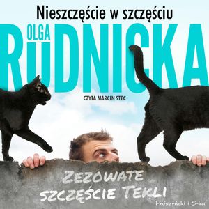 Nieszczęście w szczęściu – okładka audiobooka, autor Olga Rudnicka