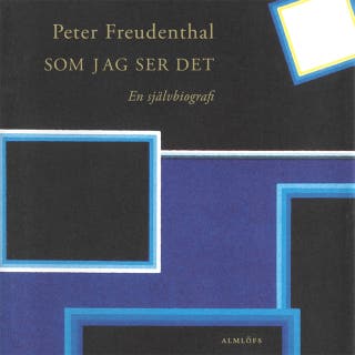 Som jag ser det – omslag till ljudboken av Peter Freudenthal