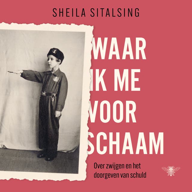 Waar ik me voor schaam: Over zwijgen en het doorgeven van schuld