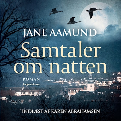 Samtaler om natten – omslag til lydbogen af Jane Aamund