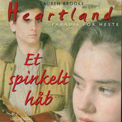 Et spinkelt håb – omslag til lydbogen af Lauren Brooke