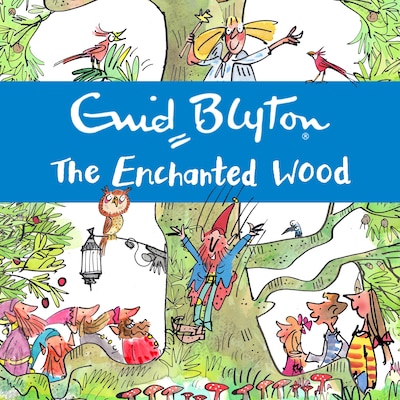 The Enchanted Wood