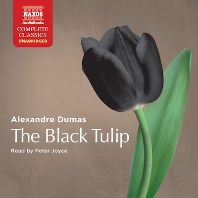 The Black Tulip