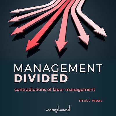 Management Divided – omslag til lydbogen af Matt Vidal