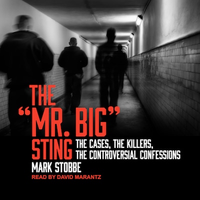 The "Mr. Big" Sting – omslag til lydbogen af Mark Stobbe