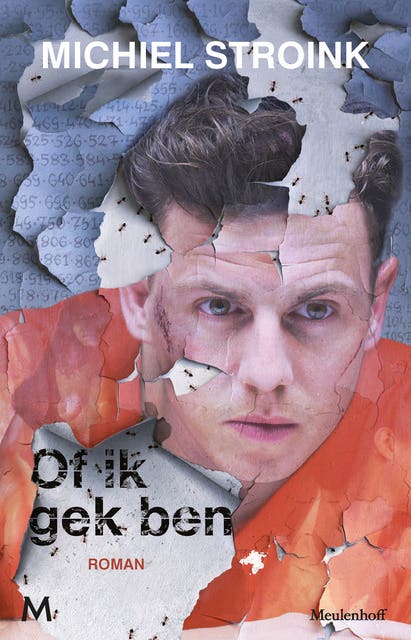 Of ik gek ben – omslag van het luisterboek van Michiel Stroink