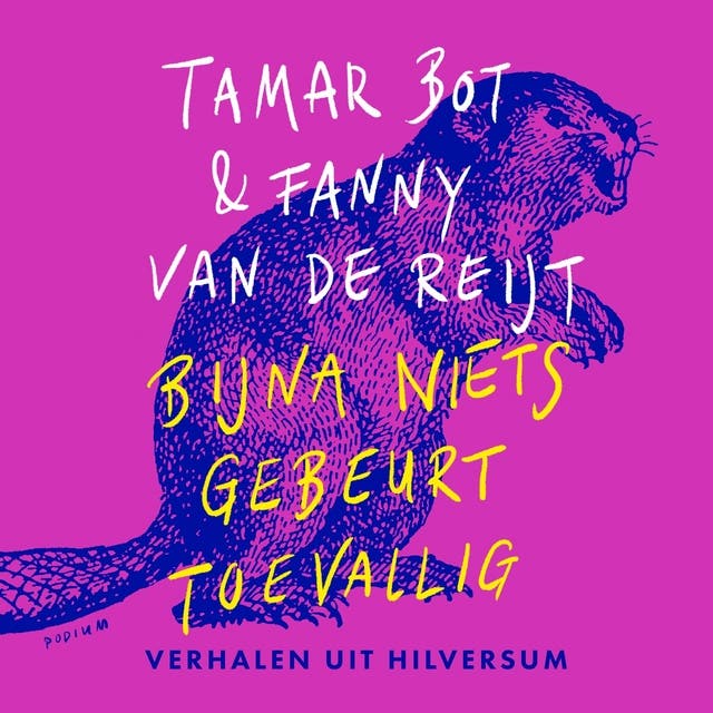 Bijna niets gebeurt toevallig: Verhalen uit Hilversum – omslag van het luisterboek van De mediameiden,Fanny van de Reijt,Tamar Bot