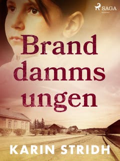 Branddammsungen – omslag till ljudboken av Karin Stridh