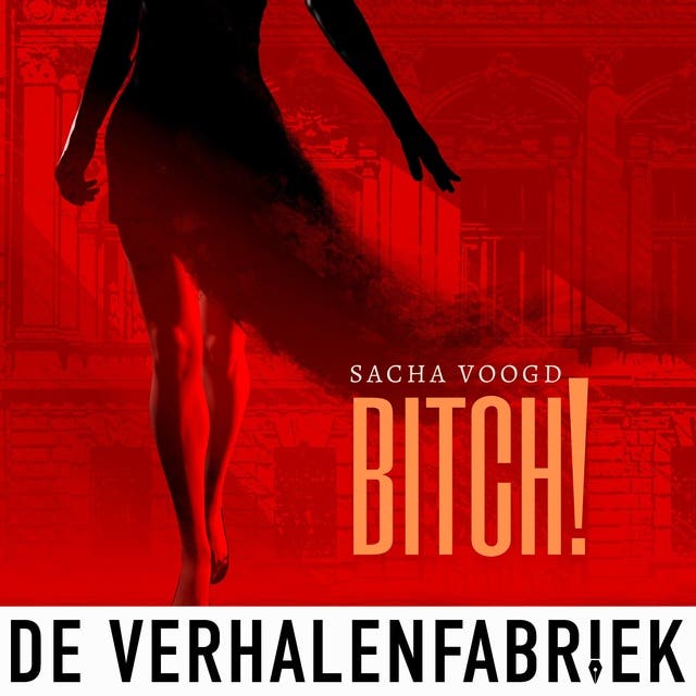 Bitch: Een ongeluk. Een affaire. Een waarschuwing.