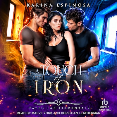 A Touch of Iron – omslag til lydbogen af Karina Espinosa