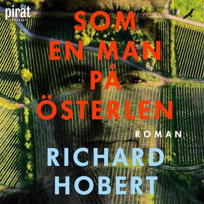 Som en man på Österlen
