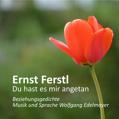 Ernst Ferstl - Du Hast Es Mir Angetan – omslag van het luisterboek van Ernst Ferstl
