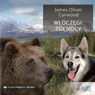 Włóczęgi Północy