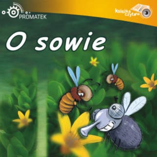 O sowie – okładka audiobooka, autor Ryszard Adam Gruchawka