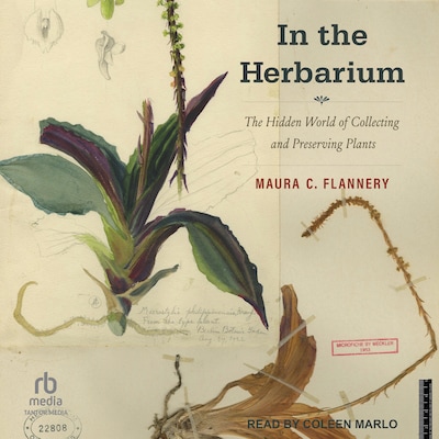 In the Herbarium – omslag til lydbogen af Maura C. Flannery