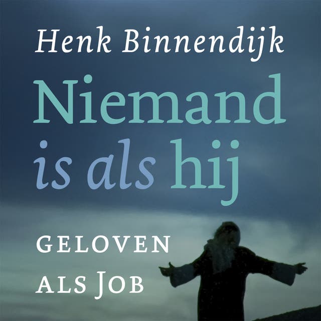 Niemand is als hij: Geloven als Job
