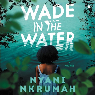 Wade in the Water