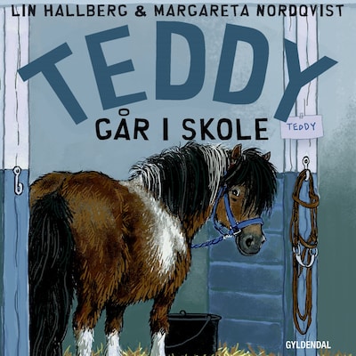 Teddy 5 - Teddy går i skole – omslag til lydbogen af Lin Hallberg