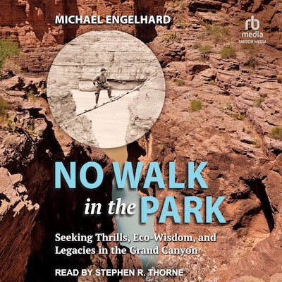 No Walk in the Park – omslag til lydbogen af Michael Engelhard