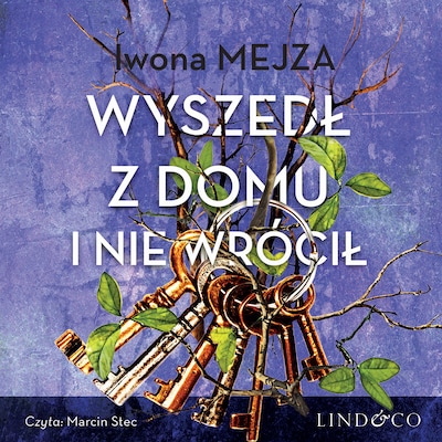 Wyszedł z domu i nie wrócił – okładka audiobooka, autor Iwona Mejza
