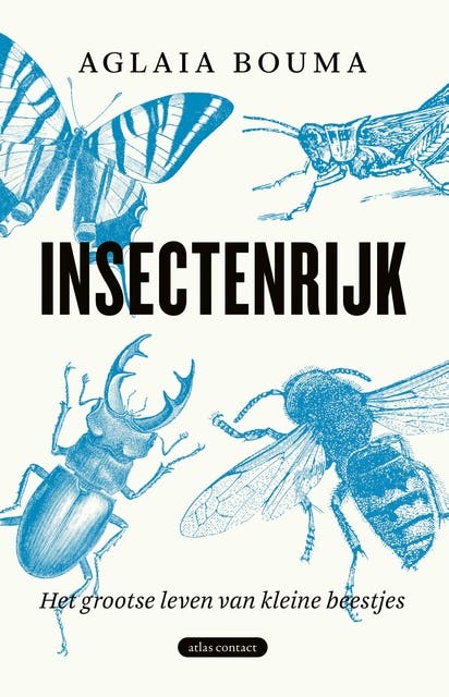 Insectenrijk: Het grootse leven van kleine beestjes