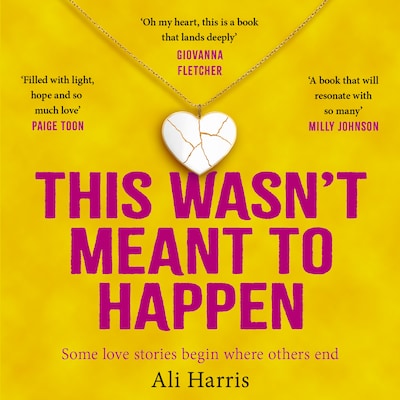 This Wasn't Meant to Happen – omslag til lydbogen af Ali Harris