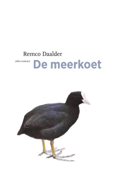 Meerkoet – omslag van het luisterboek van Remco Daalder