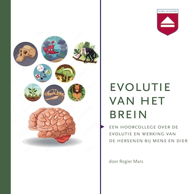 Evolutie van het brein – omslag van het luisterboek van Rogier Mars