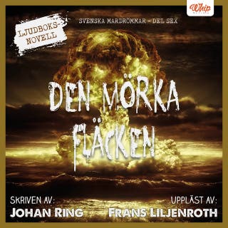 Den mörka fläcken
