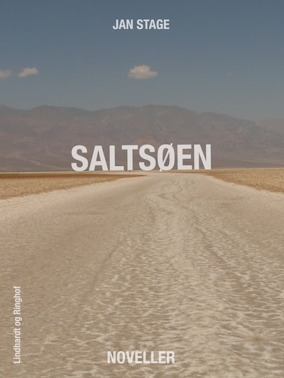 Saltsøen – omslag til lydbogen af Jan Stage