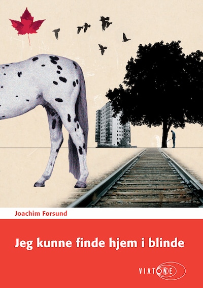 Jeg kunne finde hjem i blinde – omslag til lydbogen af Joachim Førsund