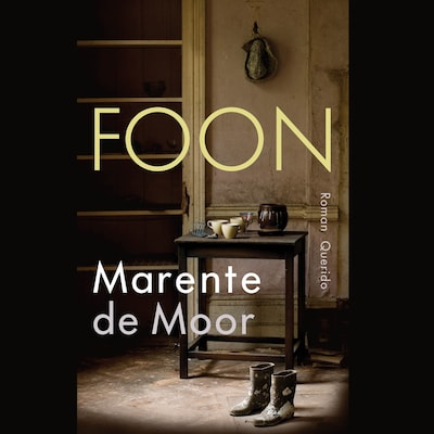 Foon – omslag van het luisterboek van Marente de Moor