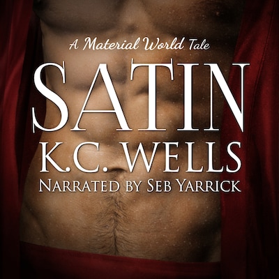 Satin (A Material World Book 2)