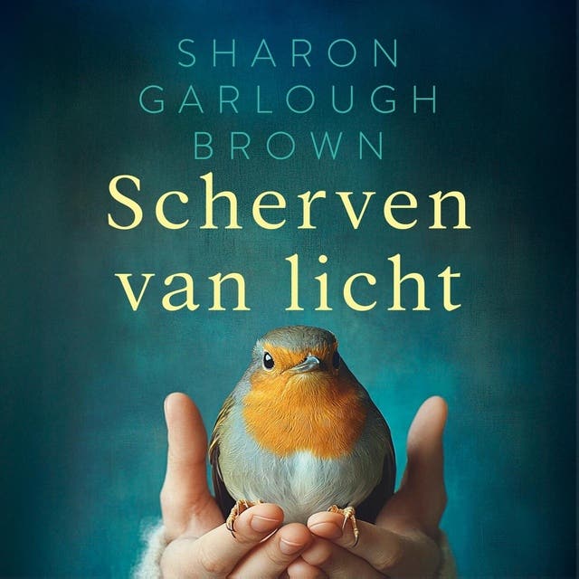 Scherven van licht