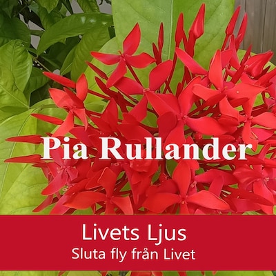 Livets Ljus. Sluta fly från Livet.