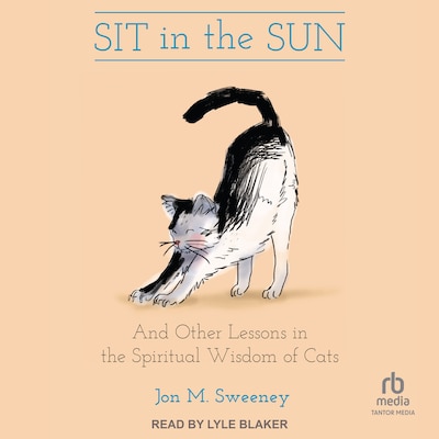 Sit in the Sun – omslag til lydbogen af Jon M. Sweeney