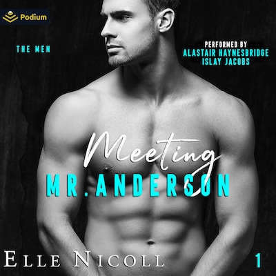 Meeting Mr. Anderson – omslag til lydbogen af Elle Nicoll