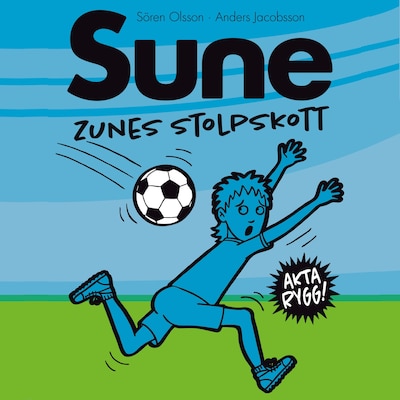 Zunes stolpskott