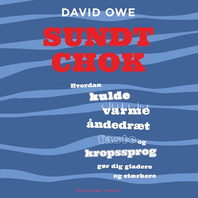Sundt chok – omslag til lydbogen af David Owe