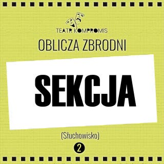 SEKCJA – okładka audiobooka, autor Jerzy Andrzej Masłowski